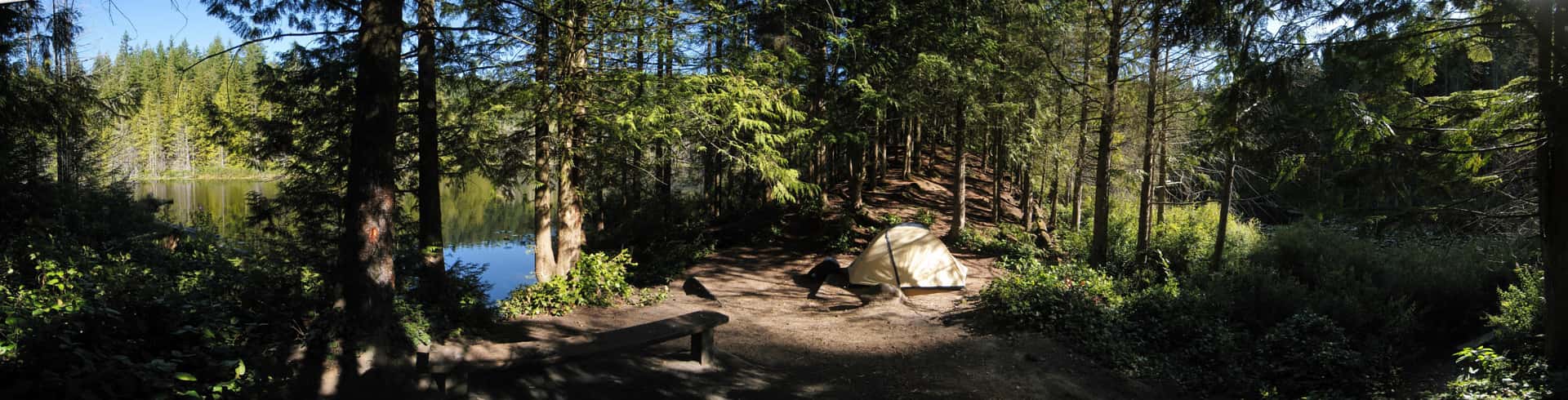tent on a peninsula in Pine Lake