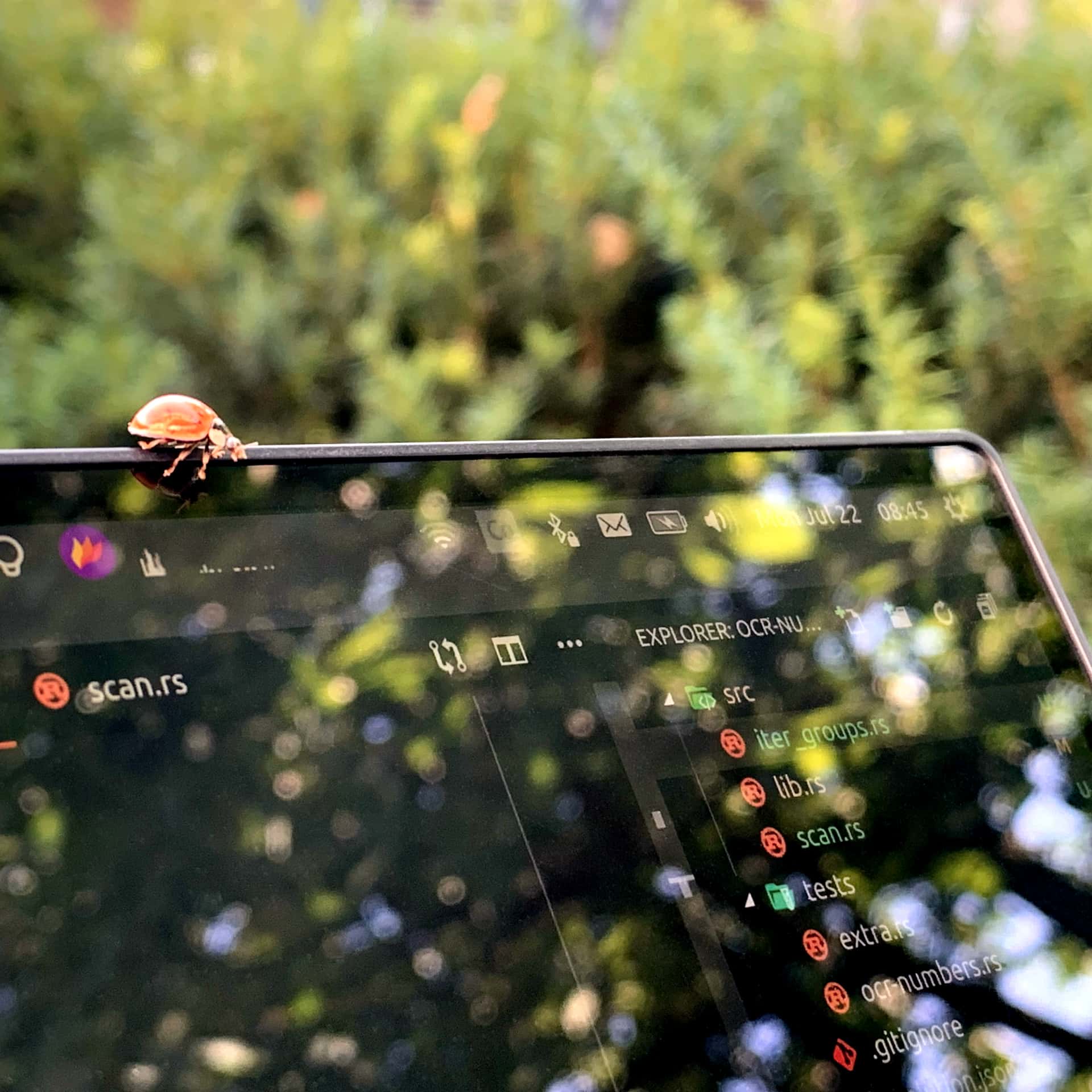ladybug walking across the top edge of a laptop screen