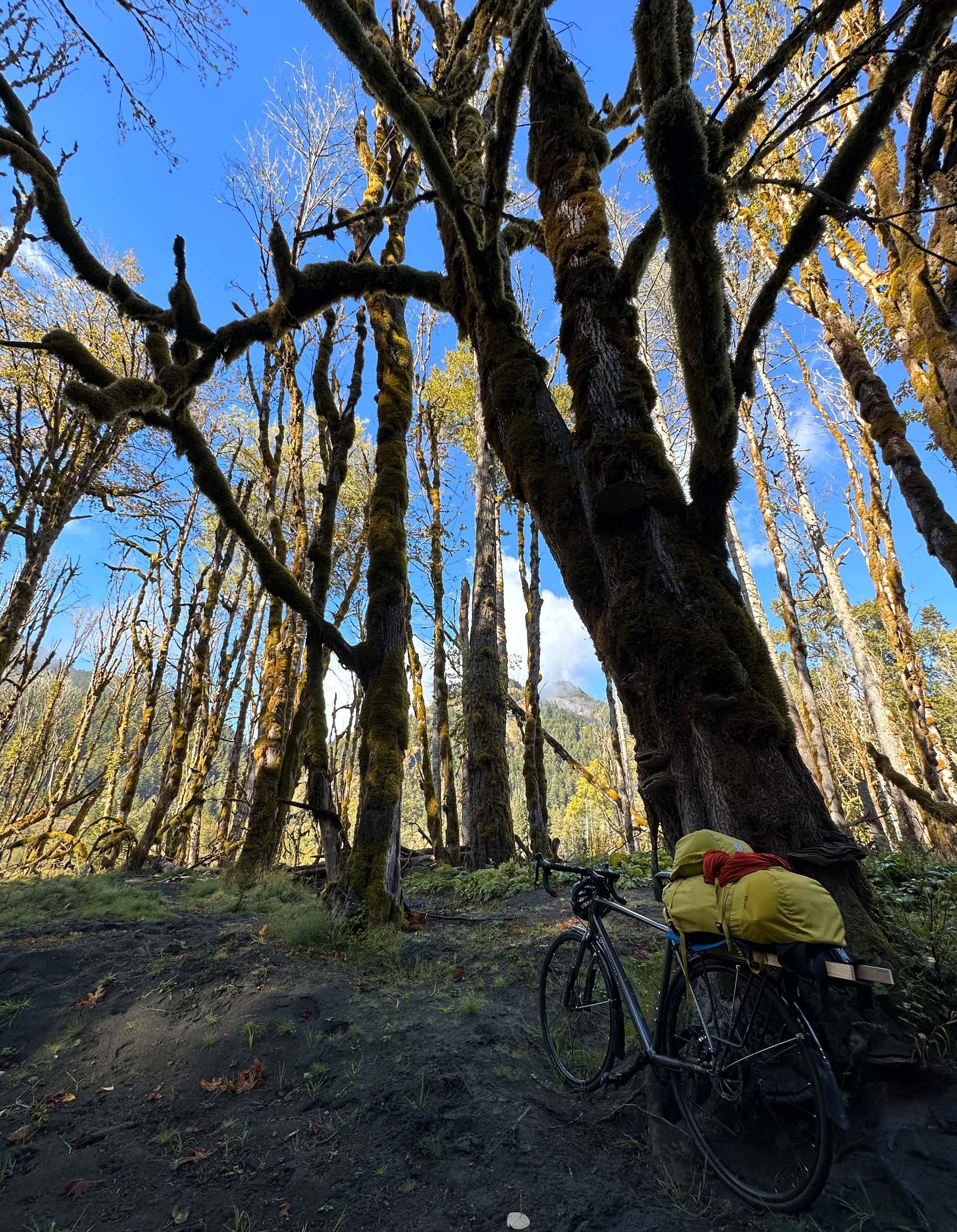 bicycle on the shore of the Elwha River