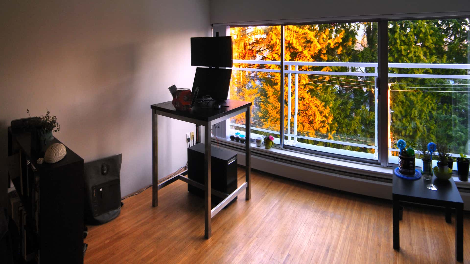 standing desk in front of a window to fir trees cast orange by morning sunshine