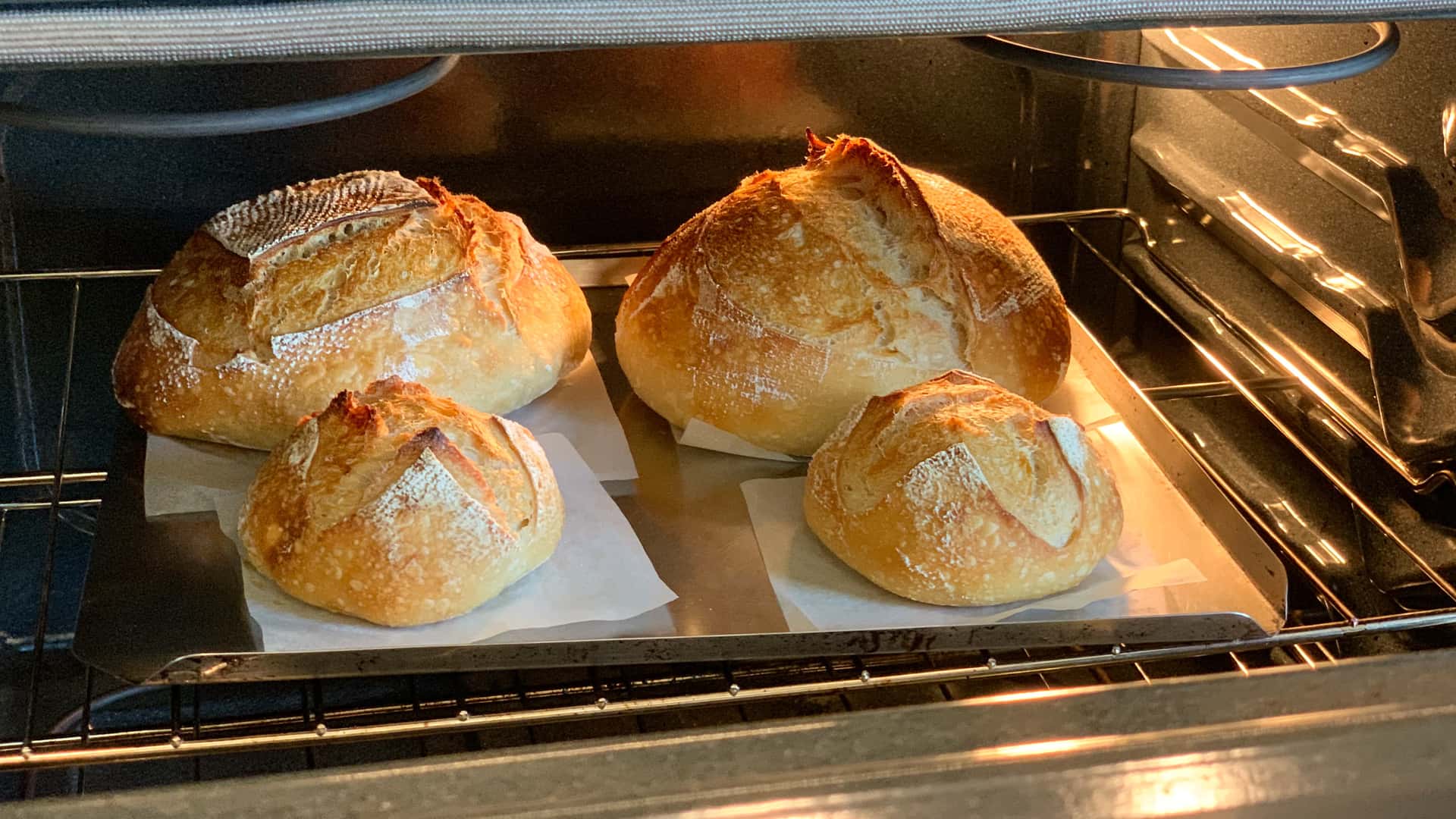 homemade sourdough loaves in the oven