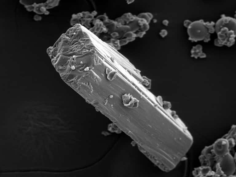 400-μm view of protein powder in a scanning electron microscope