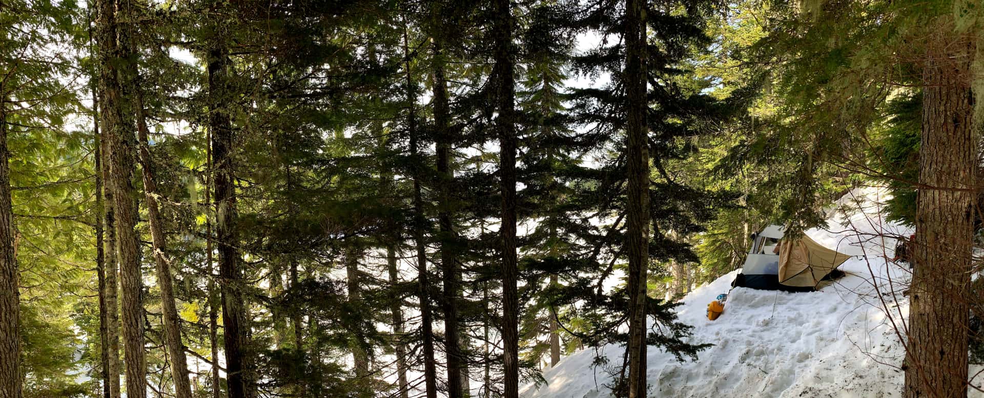 sunshine filters though evergreens onto a tent overlooking frozen Olallie Lake from a snowy hillside