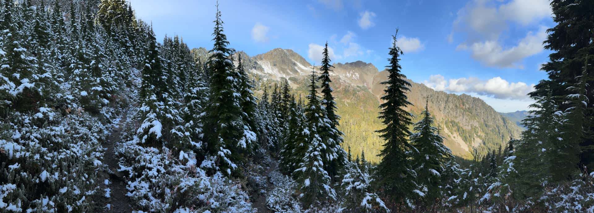 view of Mt. Appleton from the snowy Appleton Pass Trail