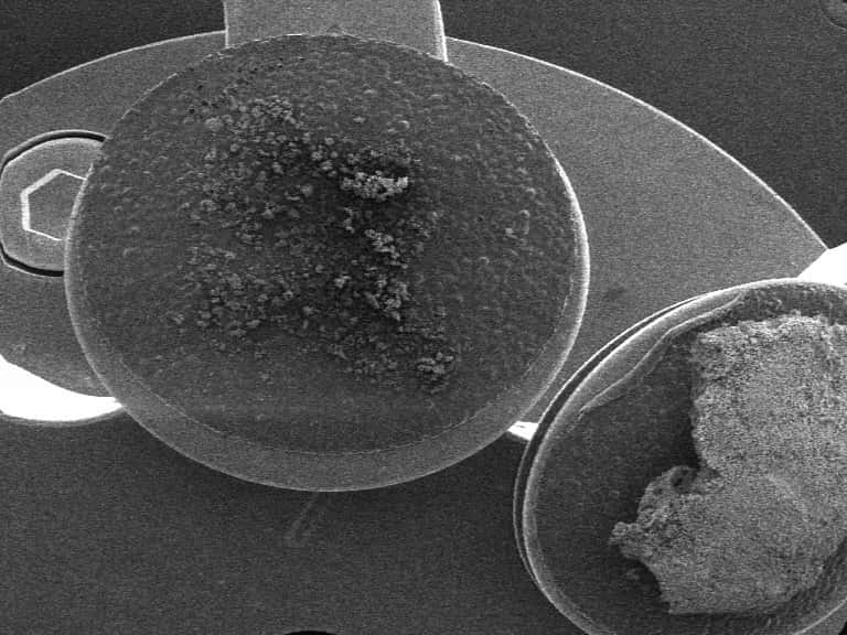 sample stage in a scanning electron microscope