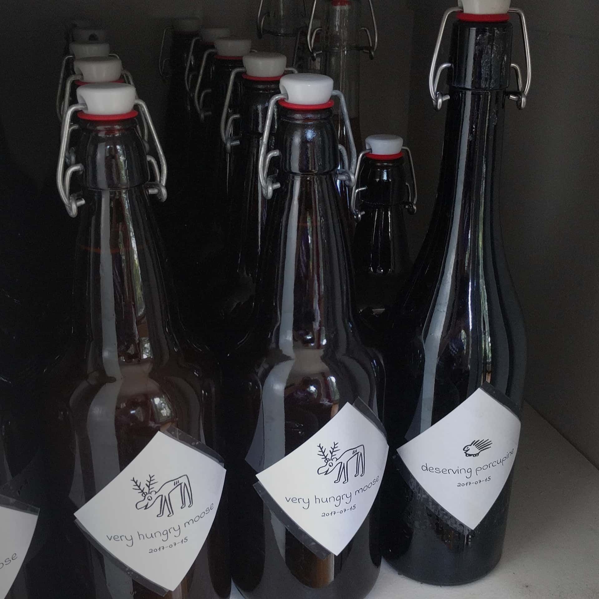 homebrew beer bottles labeled “very hungry moose” and “deserving porcupine”