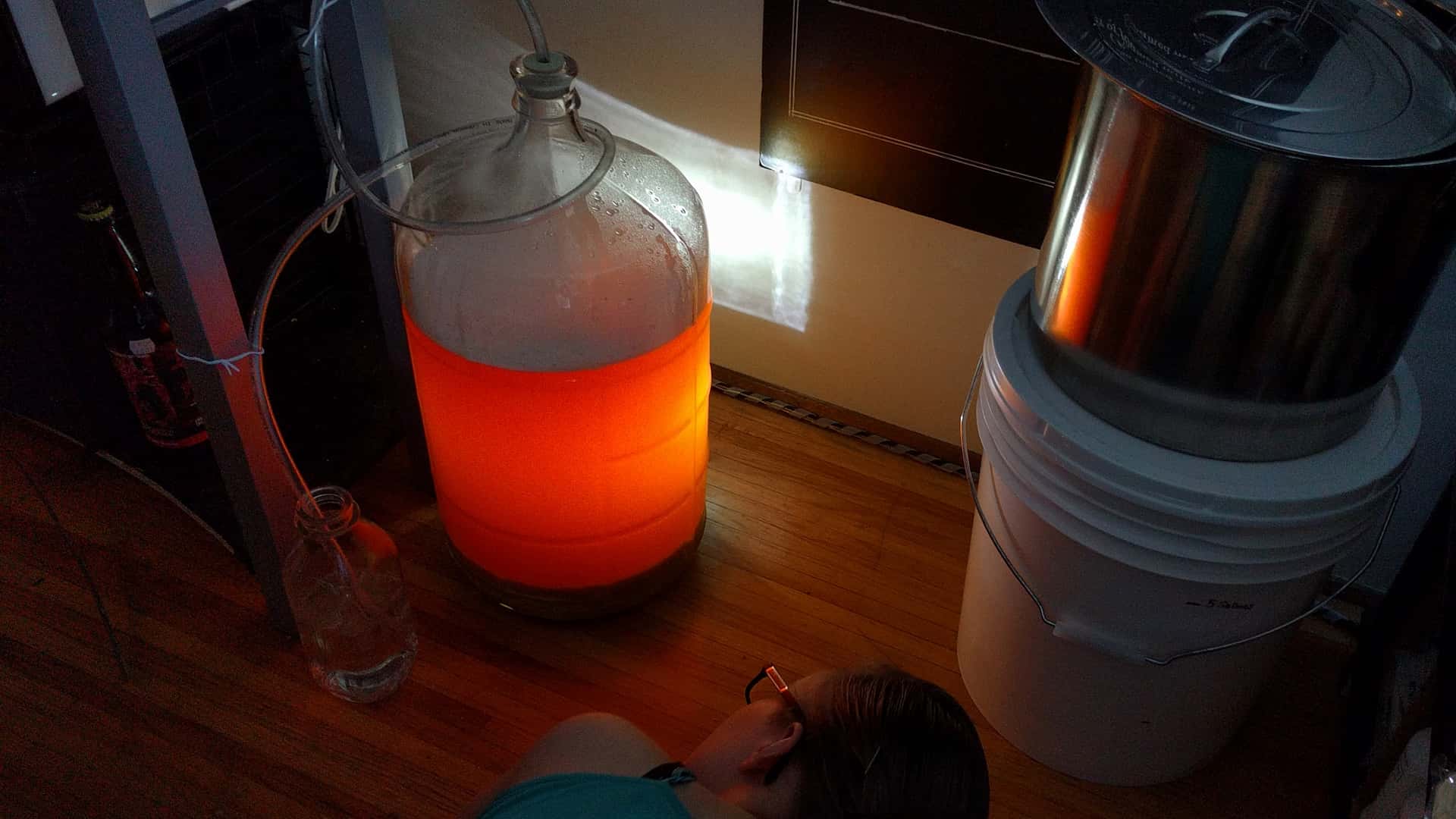 carboy of homebrew beer glowing orange from a backlight