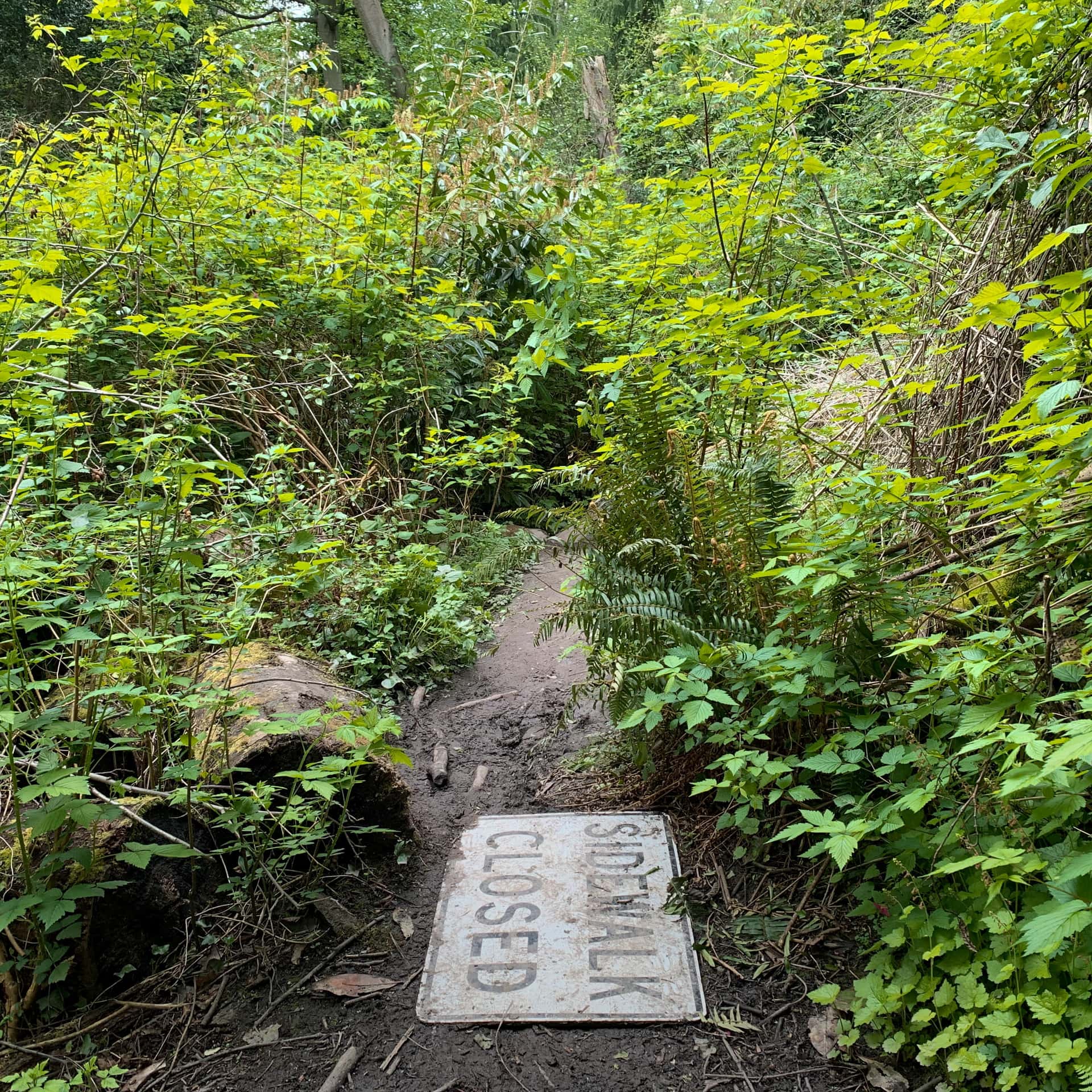 a metal street sign reading “Sidewalk Closed” lays in the mud, repurposed as a stepping stone