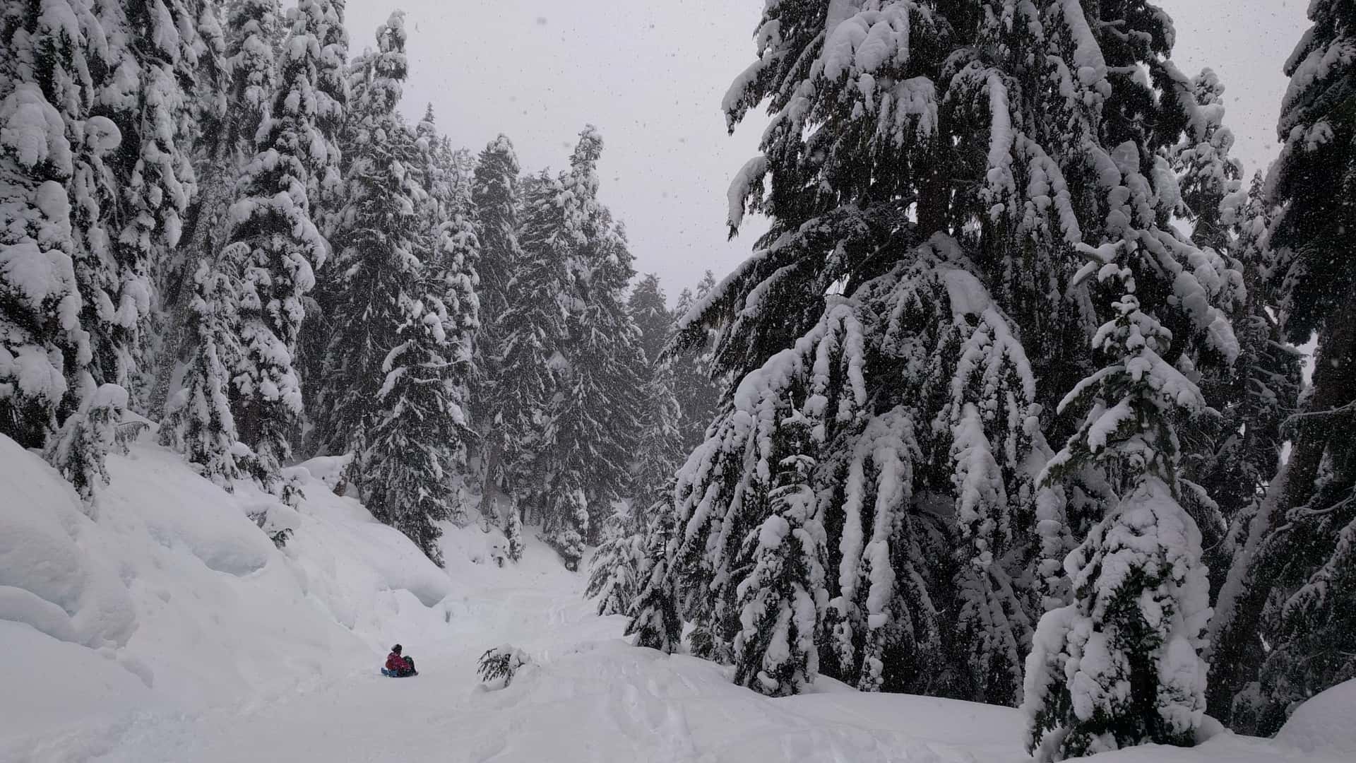 sledding down the Elfin Lakes trail on a roll-up sled