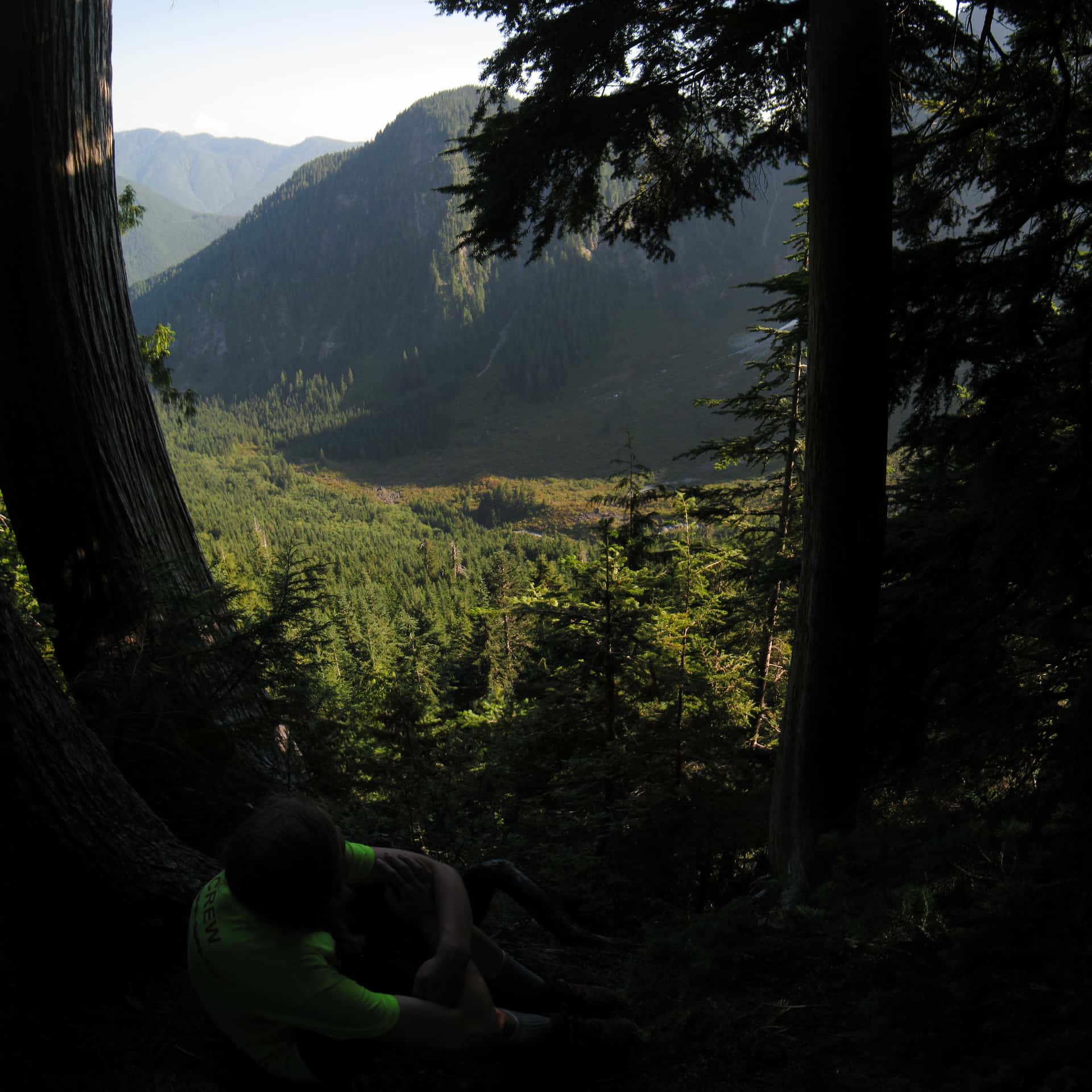 view of Alder Flats from the Golden Ears Trail
