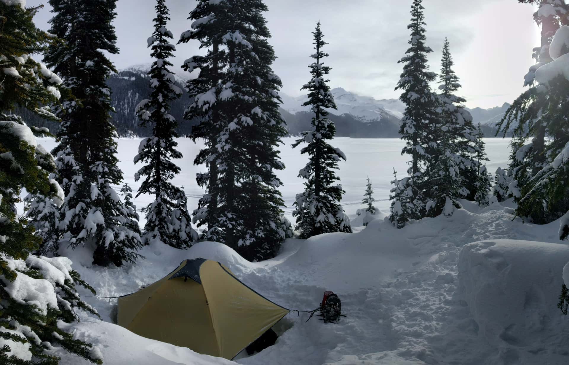 tent in the snow overlooking frozen Garibaldi Lake