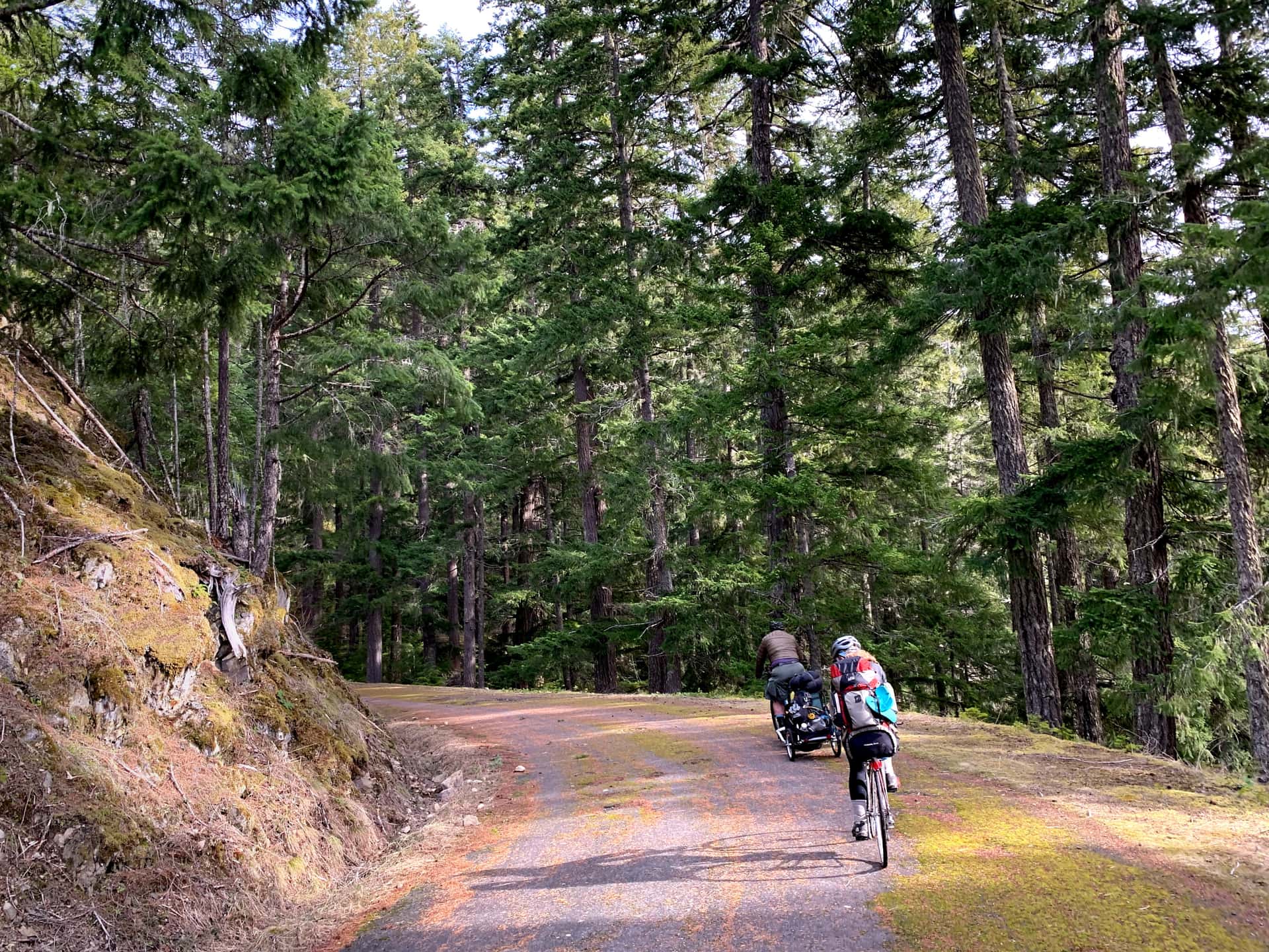 cycling down Olympic Hot Springs Road