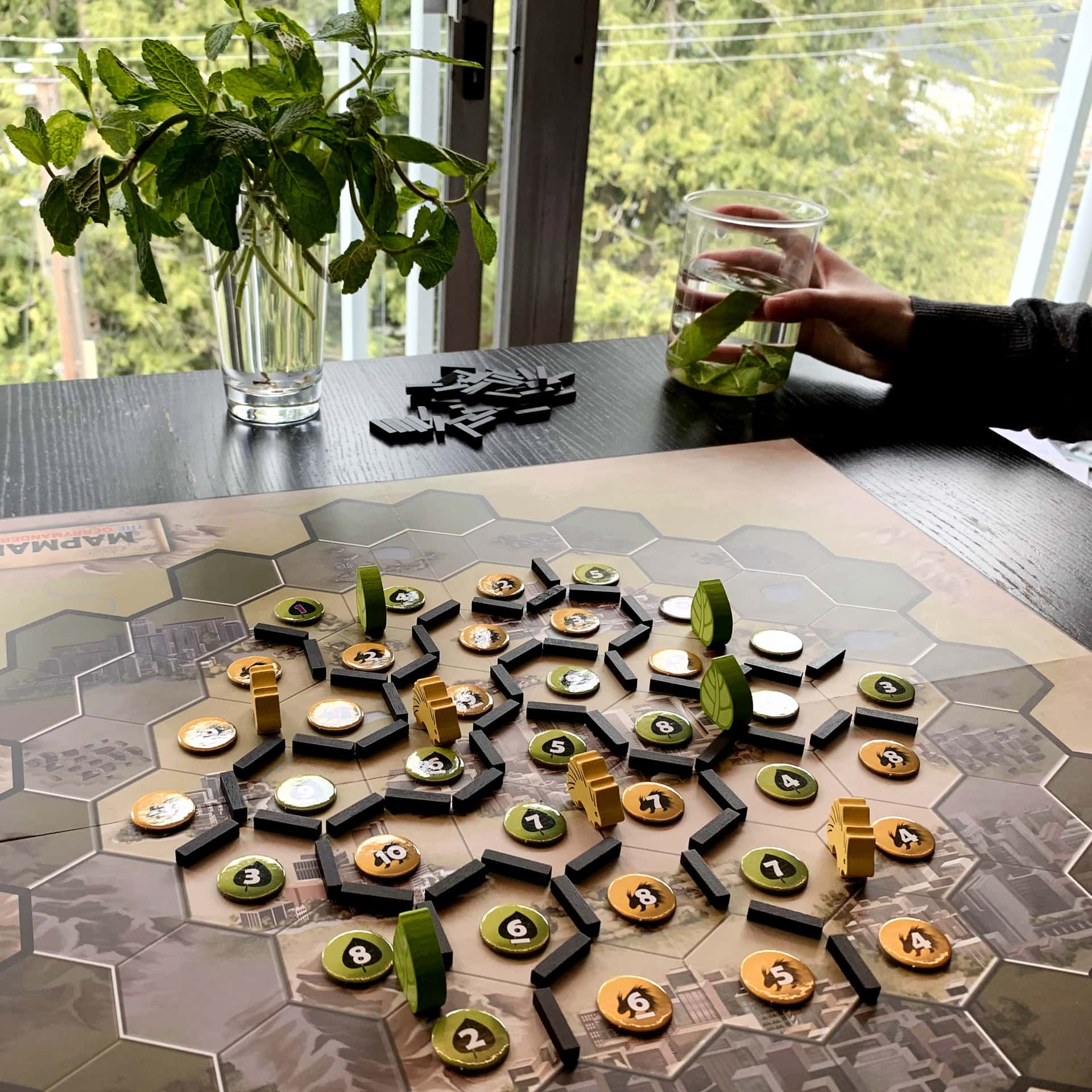 Mapmaker (The Gerrymandering Game) board on a table with a mint plant and mint tea