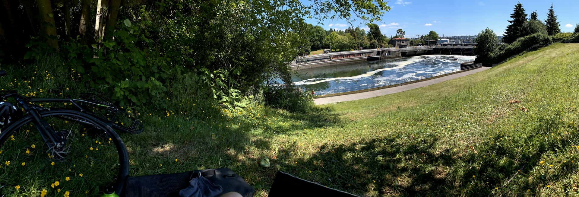 working remotely with a laptop and bicycle in the grass at Commodore Park, overlooking the Ballard locks