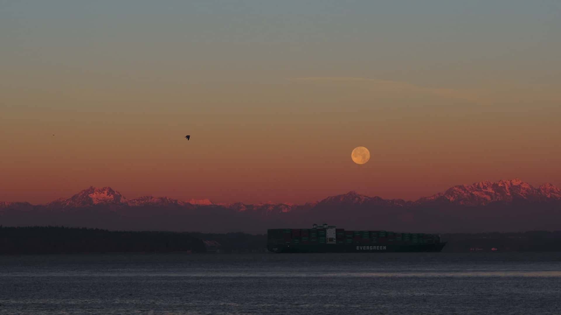 cargo ship in Puget Sound under the moon and the Olympic Mountains cast red by sunrise