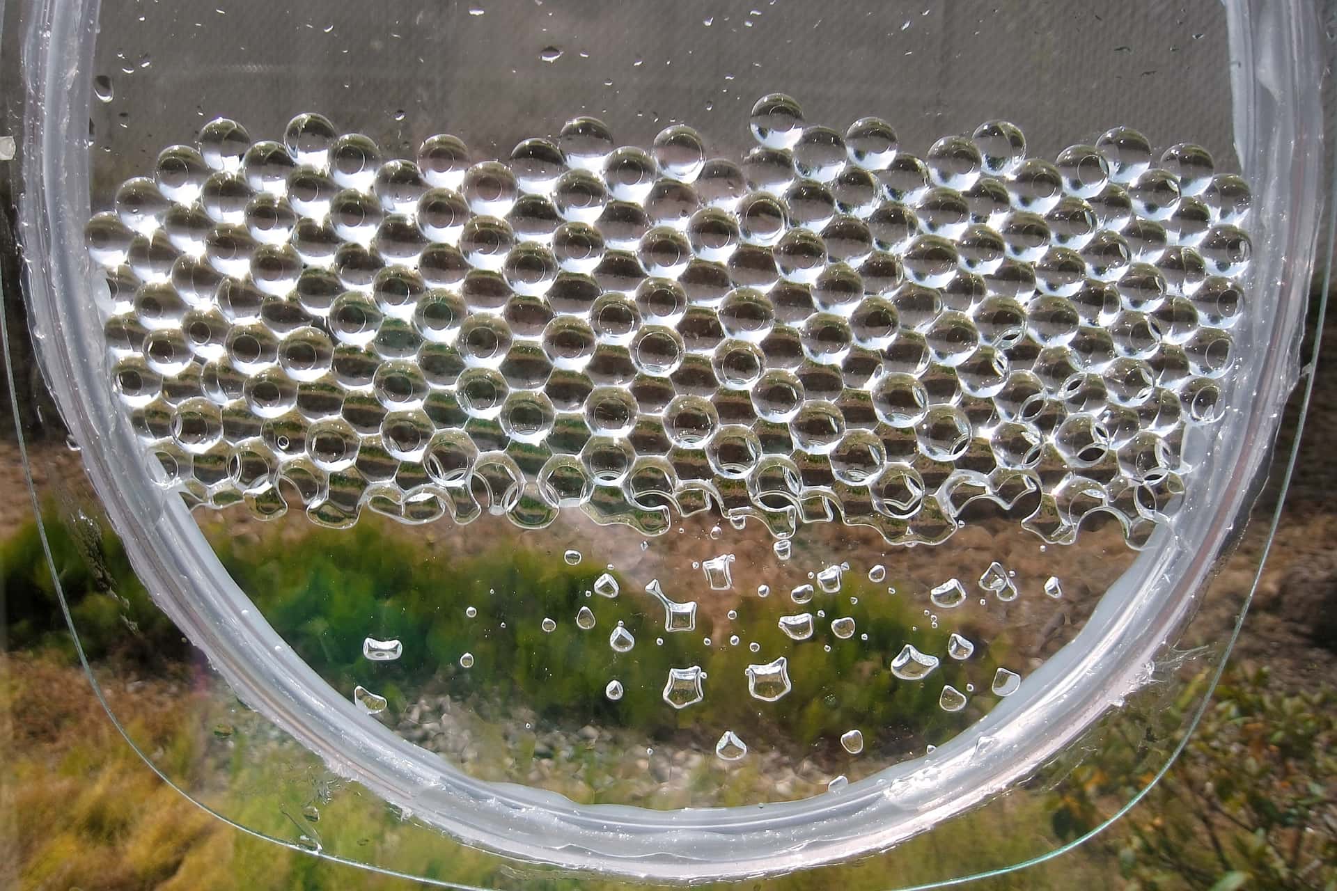 flat glass enclosure containing water-saturated sodium polyacrylate balls