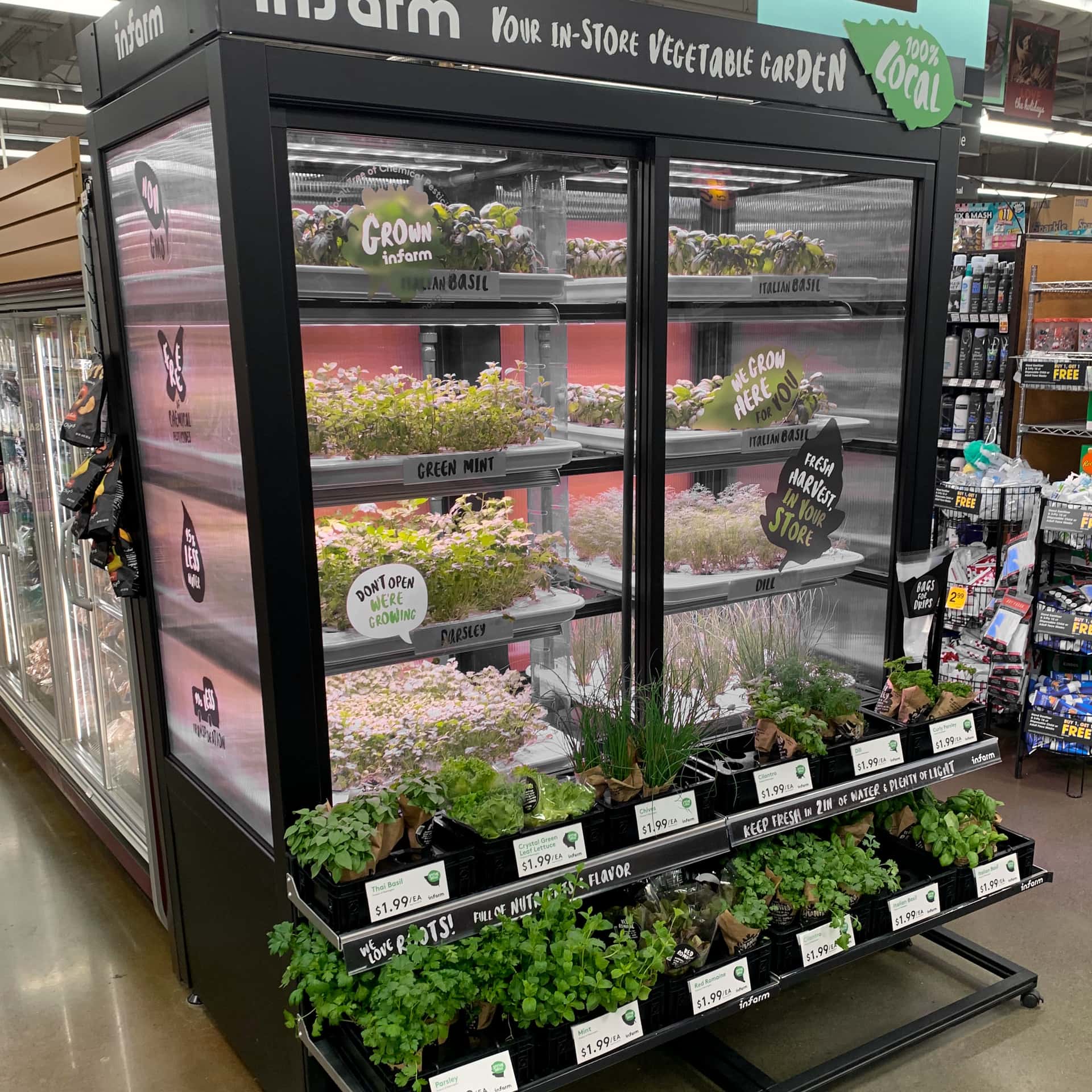 vertical farming installation growing fresh herbs inside a grocery store